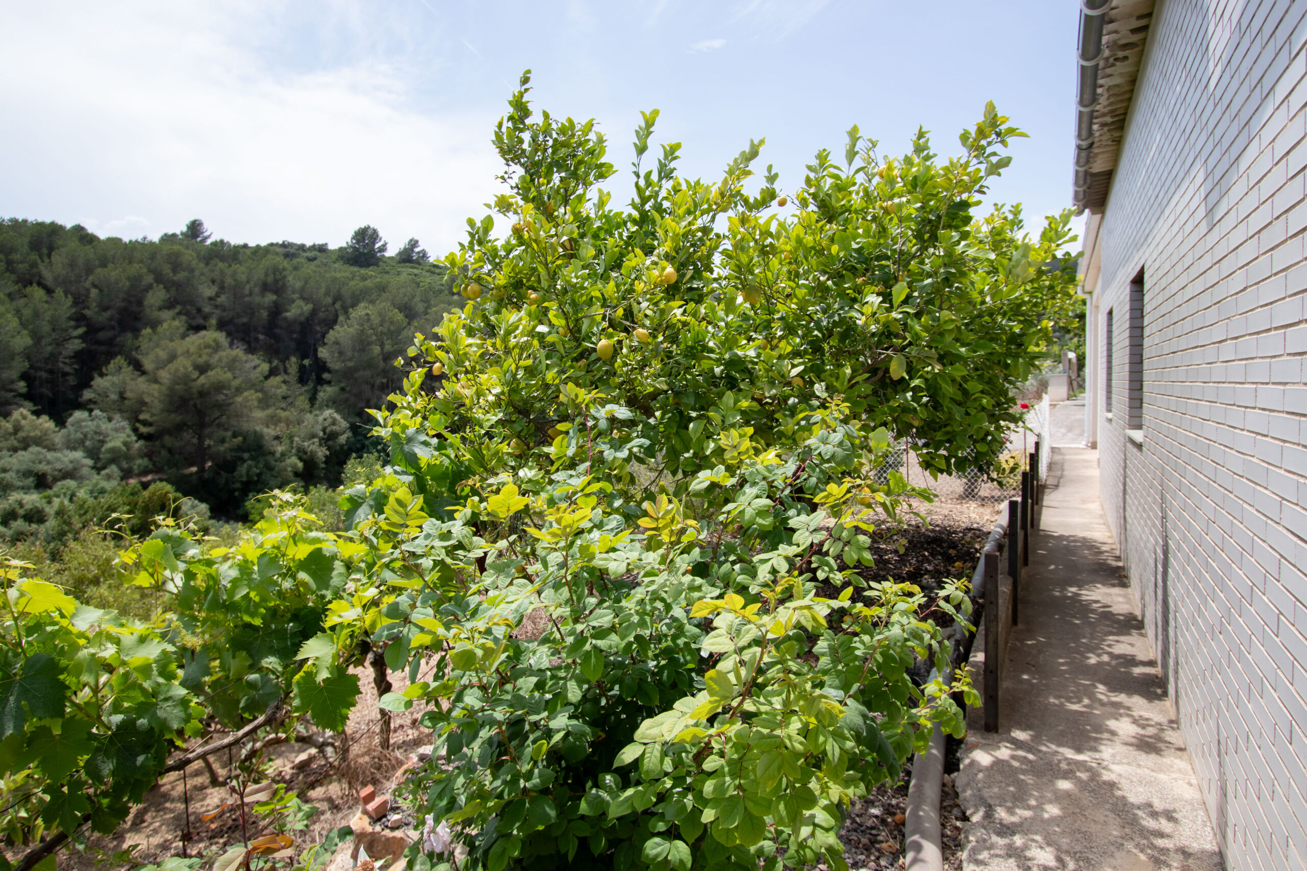 Masía Benlloc